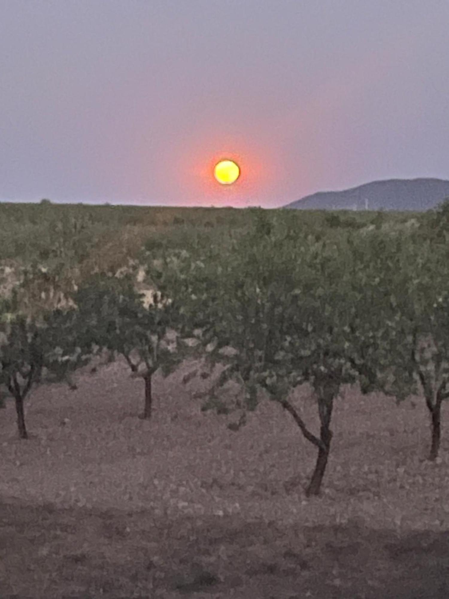 Cortijo Calma - Countryside Peace & Tranquility Apartment *
